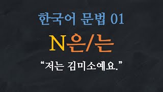 Korean Grammar 01 N은는Quiz PDF download↓ 한국어 문법Learn Korean Basic Korean GrammarTopic Particle [upl. by Etteluap]