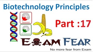 Biology Biotechnology Principles part 17 Isolation of DNA Cutting of DNA class 12 XII [upl. by Fraase344]