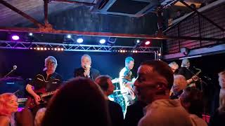 The Blockheads  Reasons to be cheerful part 3 at strings in Newport iow 2024 [upl. by Anerac]