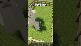 How To Breed Llamas in Minecraft [upl. by Kcirdla890]