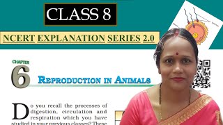 Reproduction in Animals  One Shot  Biology  Class 8  NCERT Explanation Series 20 [upl. by Enyalaj]