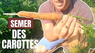 Tuto jardin  Comment semer des carottes [upl. by Sherwood]