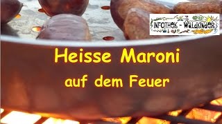 Nature Flow  Heisse Maroni auf dem Feuer selber machen [upl. by Silisav]