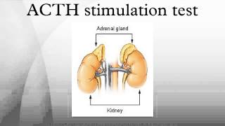 ACTH stimulation test [upl. by Stanislaw]