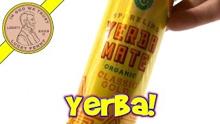 Yerba Mate Organic Classic Gold Drink Guayaki Review [upl. by Ymerej]