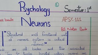 Neurons Structure functions types Psychology APSY111 BS English 1st Semester PU [upl. by Alaek]