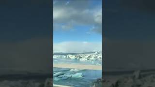 Jokulsarlon Glacier Lagoon Iceland youtubeshorts foryou viral travel trending tour reels [upl. by Spiegelman]