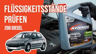 Die Flüssigkeitsstände prüfen Peugeot 206 14 HDi 📏 [upl. by Shivers]