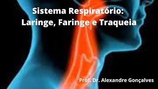 Anatomia Respiratória  Nariz e Faringe  Aula Prática [upl. by Rica]