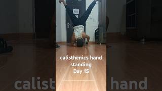 calisthenics hand standing Day 15 [upl. by Faso413]