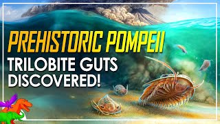 Prehistoric Underwater Pompeii  Pristine Trilobite Fossils Reveal Unseen Anatomy [upl. by Schechter]