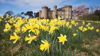 Cholmondeley Castle Gardens 28 March 2022 [upl. by Aikkin]