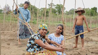 Traditional Lake Fish recipe A simple snack that we hardworking people make village kitchen recipe [upl. by Alyal]