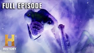 Ancient Aliens INSECT GODS OF DEEP SPACE S7 E7  Full Episode [upl. by Finlay556]