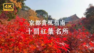 【京都一人旅 EP16】2024京都賞楓指南！精選10間紅葉名所  東福寺、神護寺、光明寺、西山善峯寺、真如堂、毘沙門堂、南禪寺、三千院、圓光寺、東寺 [upl. by Sigfrid]