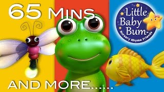 Five Little Speckled Frogs  Little Baby Bum  Nursery Rhymes for Babies  Baby Song Compilation [upl. by Nahtanaoj906]