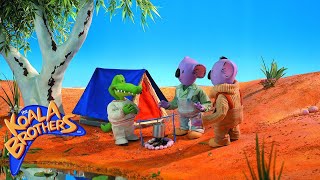 The Koala Brothers Archie Goes Camping Childrens animation series [upl. by Ziguard]