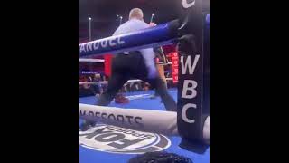 Ringside Angle of Tyson Fury Knocking Wilder Down 3 Times Finishes Him In Highlight Fashion shorts [upl. by Bridie]