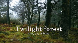 Rainy day in Forks forest • Twilight ambience • Reading and studying music 🌲 [upl. by Nal134]