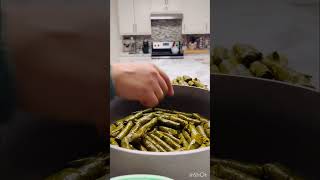 The Art of Stuffed Grape Leaves [upl. by Noiroc688]