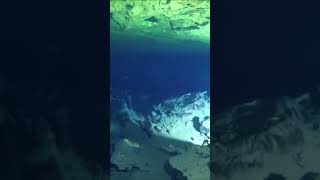 Swimming through the halocline adventure extreme cavediving caves Mexico Cozumel [upl. by Fries360]