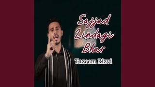 Sajjad Zindagi Bhar [upl. by Millburn825]