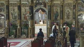 Episcopia GrecoCatolică de Oradea Live Stream [upl. by Dario571]