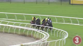 Heat 14 Doomben Jumpouts 2604 [upl. by Modesty]