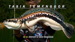 EXP SPOTCHECK TASIK TEMENGGOR EP15 [upl. by Mundy20]