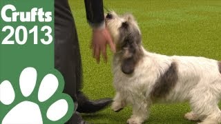 Group Judging  Hound  Crufts 2013 [upl. by Eelimaj]