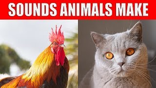 SOUNDS ANIMALS MAKE for Kids Babies and Children  English Vocabulary [upl. by Nataline744]