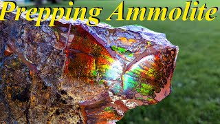 Unbelievable Colors Prepping a Pile of Raw Ammolite Specimens  StepbyStep Guide [upl. by Natanoj933]