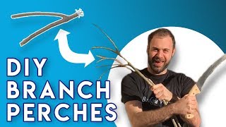 10 Steps How to Make Natural Branch Perches for Parrots DIY [upl. by Acnaib451]