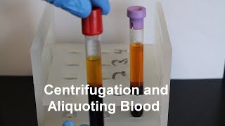 Centrifugation and Aliquoting of Blood Serum and Plasma [upl. by Elletnuahs]