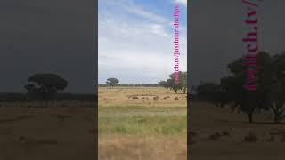 VLINE Southern Cross To Albury NSW 121124 victoria shorts shortvideo train travel views [upl. by Heindrick]