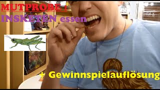 INSEKTEN ESSEN MUTPROBE  GEWINNSPIEL Auflösung [upl. by Oiluj200]