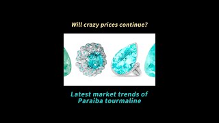 Will crazy prices continueLatest market trends of Paraiba tourmaline [upl. by Anilemrac478]