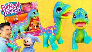 New FurReal Snackin Sam the Bronto Interactive Dinosaur  Hasbro Toy Unboxing Awesome [upl. by Tandy]