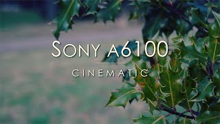 SONY A6100 I Cinematic Video with Kit Lens 1650mm I 4K [upl. by Hsiwhem]