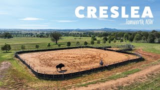 ‘Creslea’ Tamworth NSW [upl. by Nodla]