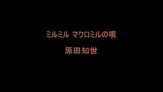 ミルミル マクロミルの唄／原田知世 [upl. by Einahpad]