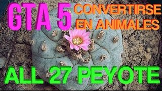 GTA 5  Coleccionables Localización 27 Plantas de Peyote  All 27 Peyote Plant Locations [upl. by Eyllek747]