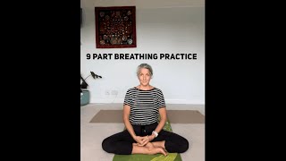 9 Part Breathing Practice [upl. by Dnomal]