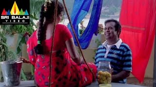 Krishna Movie Brahmanandam Raviteja Comedy  Ravi Teja Trisha  Sri Balaji Video [upl. by Littlejohn405]