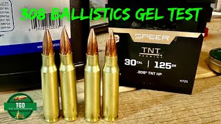 308 125gr Speer TNT Varmint Bullet Ballistics Gel Test [upl. by Yelnoc]