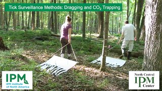 Tick Surveillance Methods Dragging and CO2 Trapping [upl. by Yrem]