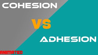 Cohesion vs Adhesion [upl. by Nwhas]