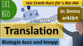 Translation in 3 mins erklärt  Biologie kurz und knapp  Ixis CrashKurs für´s BioAbi  15 Punkte [upl. by Ahtimat165]