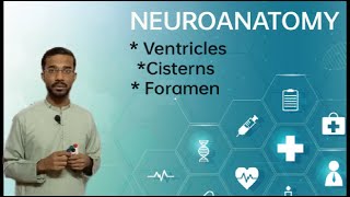 VENTRICLES CISTERNS AND FORAMEN neuroanatomy brain ventricles [upl. by Keffer837]