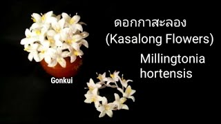 Crochet flowers  Millingtonia hortensis flower crochet crochetflower tutorial crochet [upl. by Ahsurej]